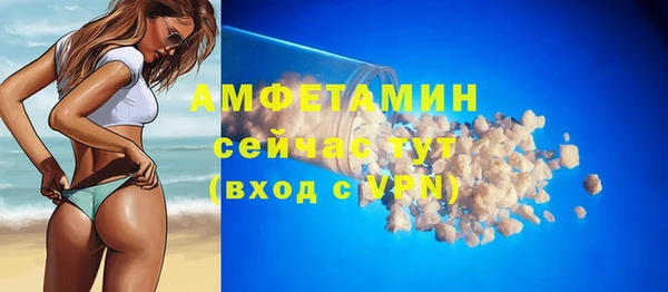 стаф Кропоткин