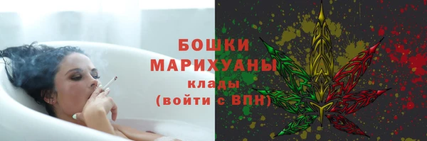 крисы Верхний Тагил