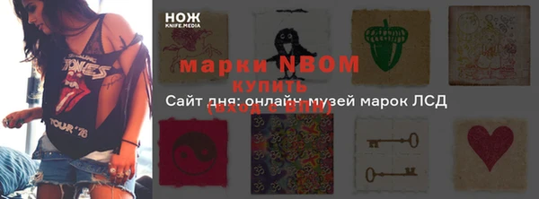бошки Бронницы
