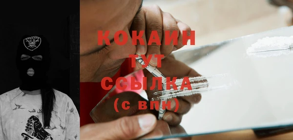 крисы Верхний Тагил