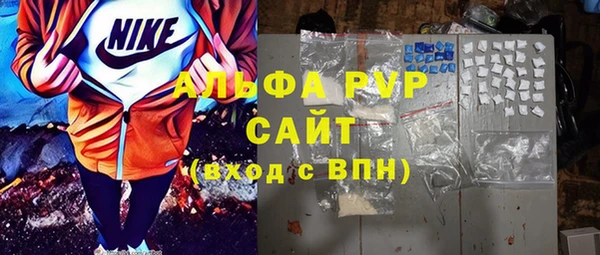 крисы Верхний Тагил