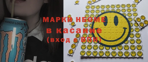 крисы Верхний Тагил