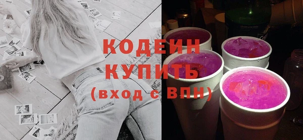 крисы Верхний Тагил